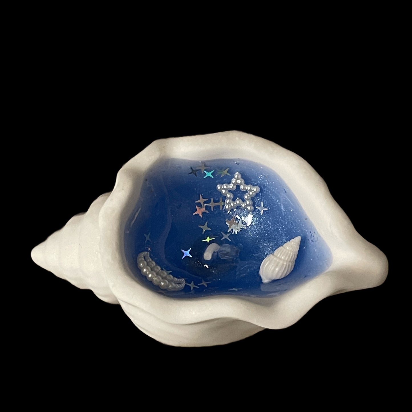 ocean shell candle