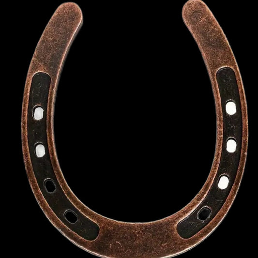 mini good luck horse shoes