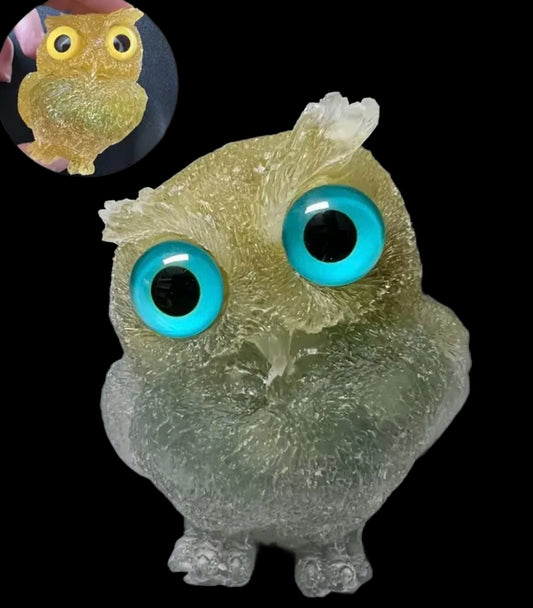 Owl