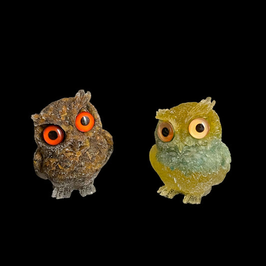Owl
